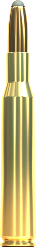SB 270 Winchester SP 9,7g