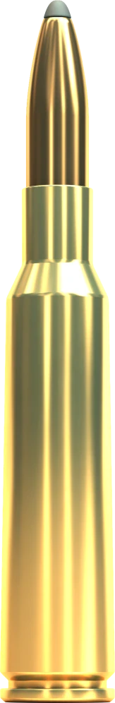 SB 6,5x55 SE SP 9,1g