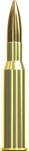 SB 7,62x54R FMJ